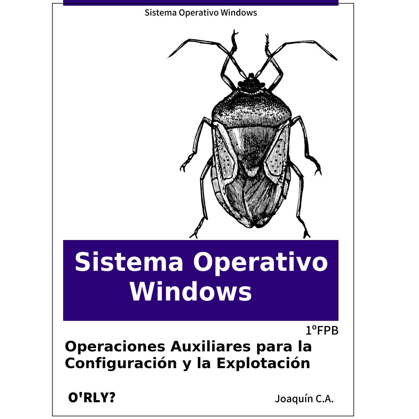 Sistema Operativo Windows