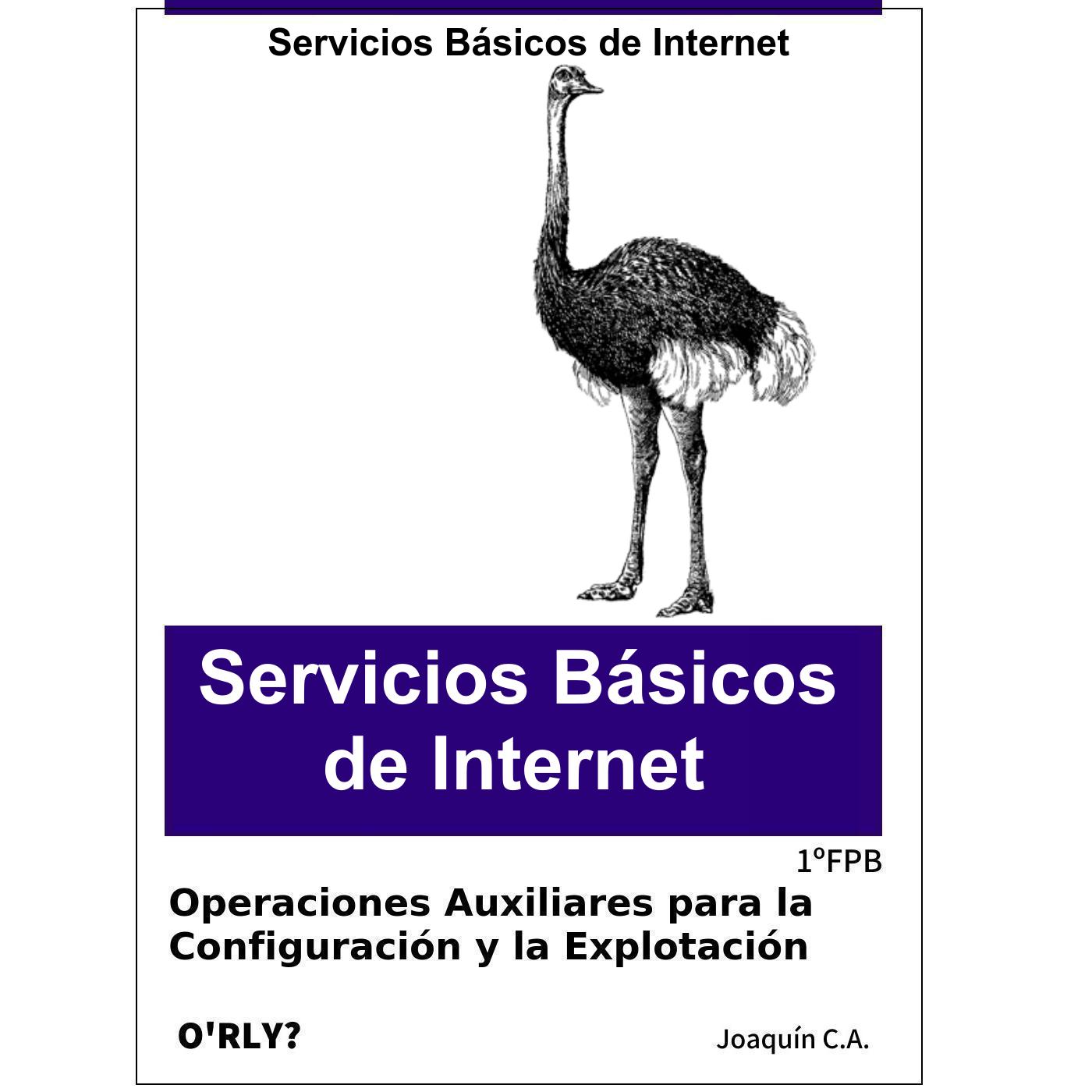 Servicios básicos de Internet