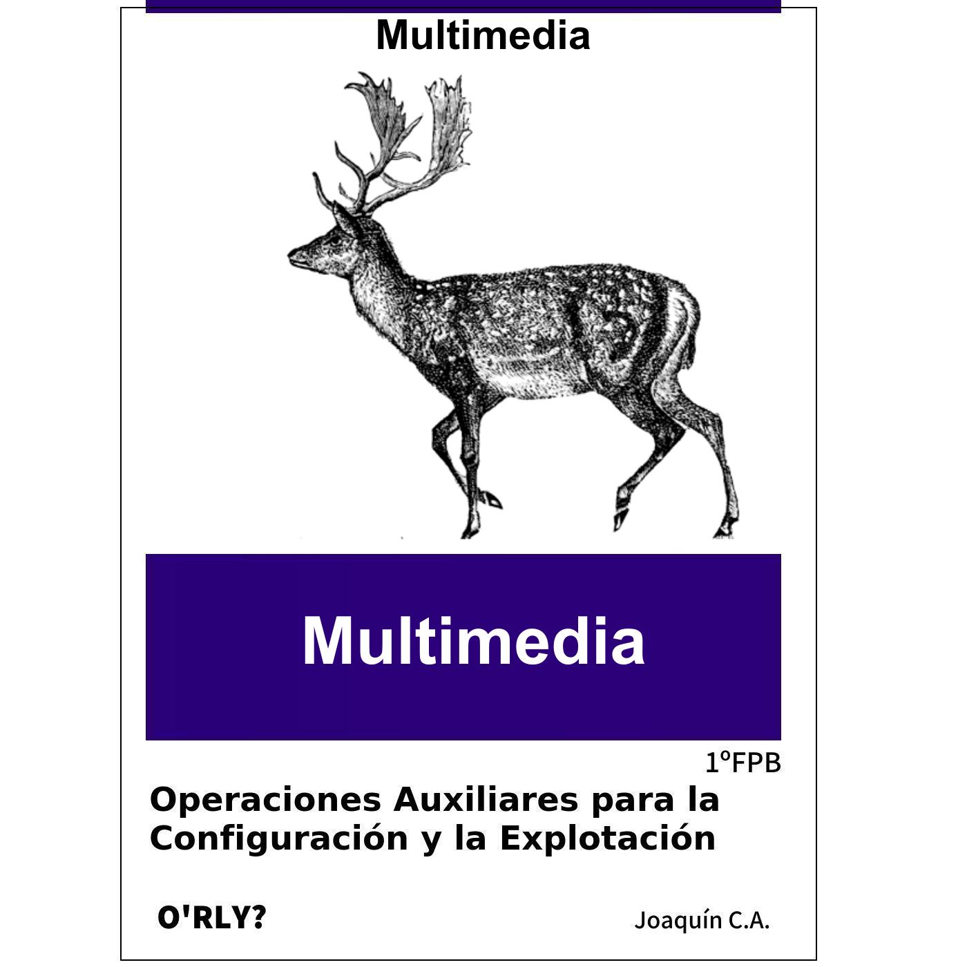 Multimedia